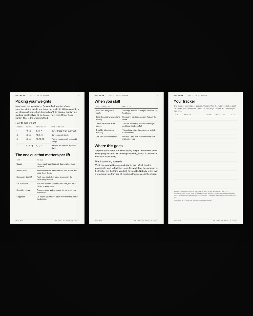 Pages four to six of The Gym Program