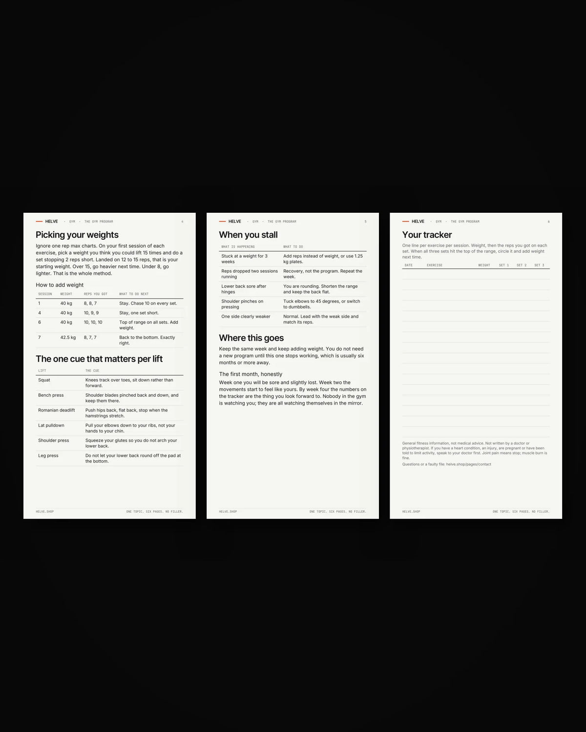Pages four to six of The Gym Program