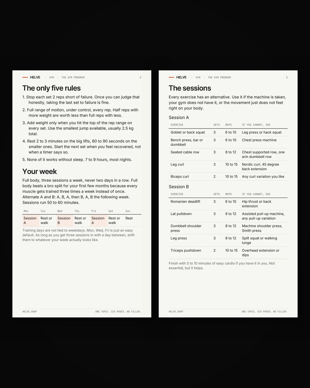 Pages two and three of The Gym Program