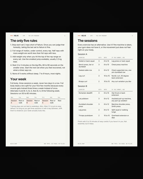 Pages two and three of The Gym Program