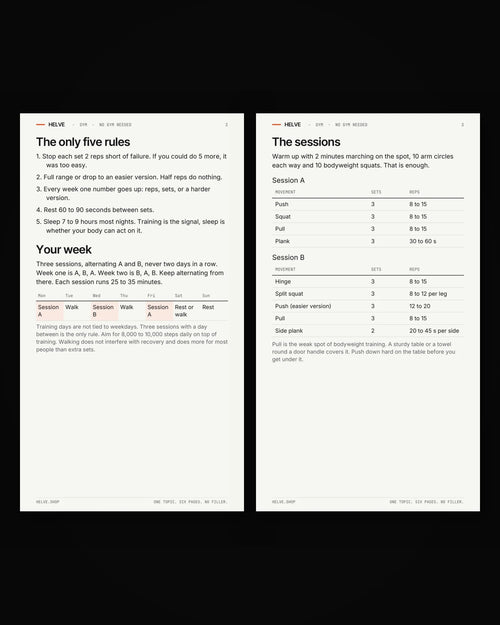 Pages two and three of No Gym Needed